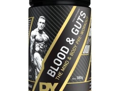 541646-suplemento-blood-and-guts-mango-380-gr-1-1-jpeg_1_g-1-1