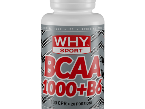 acetil-l-carnitina-60-cpr (2)