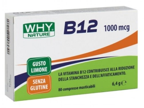 acetil-l-carnitina-60-cpr (4)