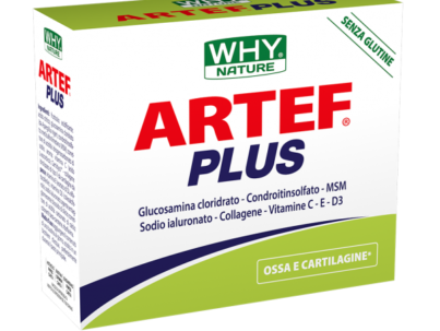 artef-plus-why-nature