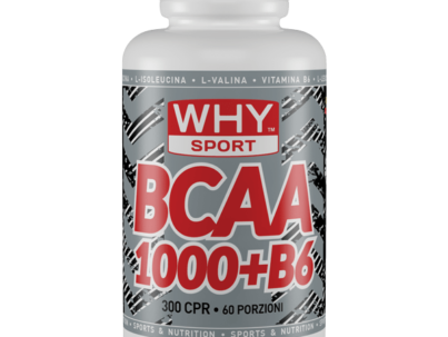 bcaa-1000-b6-300-cpr