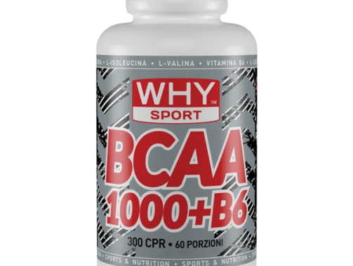 bcaa-1000-b6-300-cpr