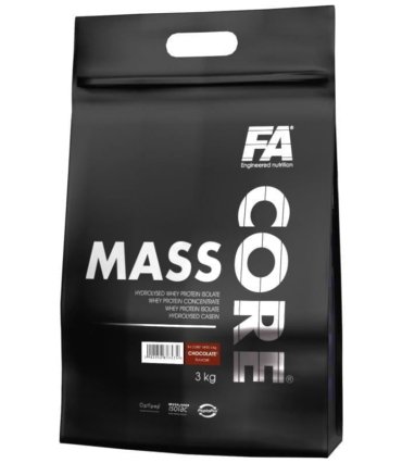 fa-core-mass-3000-g-1
