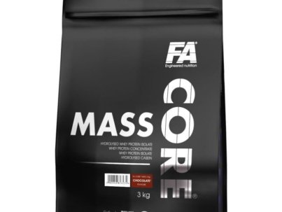 fa-core-mass-3000-g-1