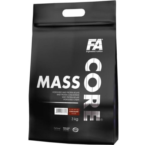 fa-core-mass-3000-g-1